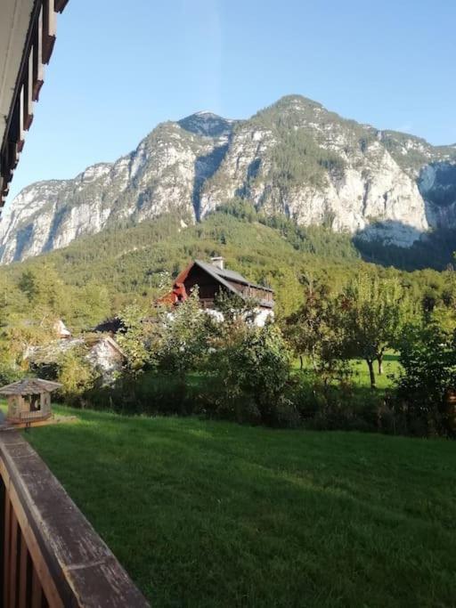 Apartma Traumblick Obertraun Apartamento Exterior foto